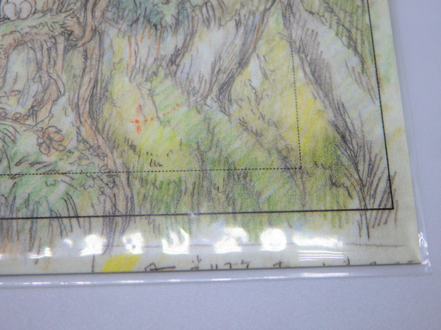 Studio Ghibli Princess Mononoke Double Postcard Original Picture Art Cel Layout