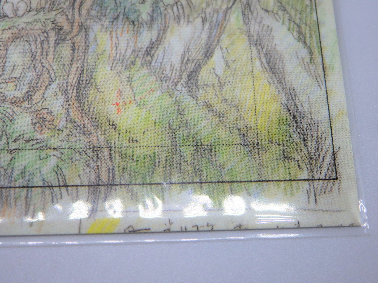 Studio Ghibli Princess Mononoke Double Postcard Original Picture Art Cel Layout