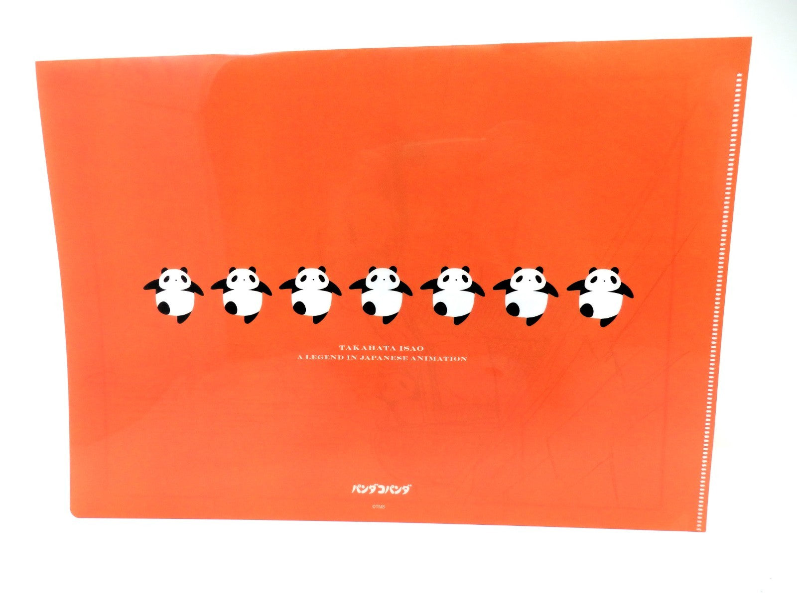 Studio Ghibli Clear File A4 Special Set of 3 Layout Cel Miyazaki Limited Rare!!