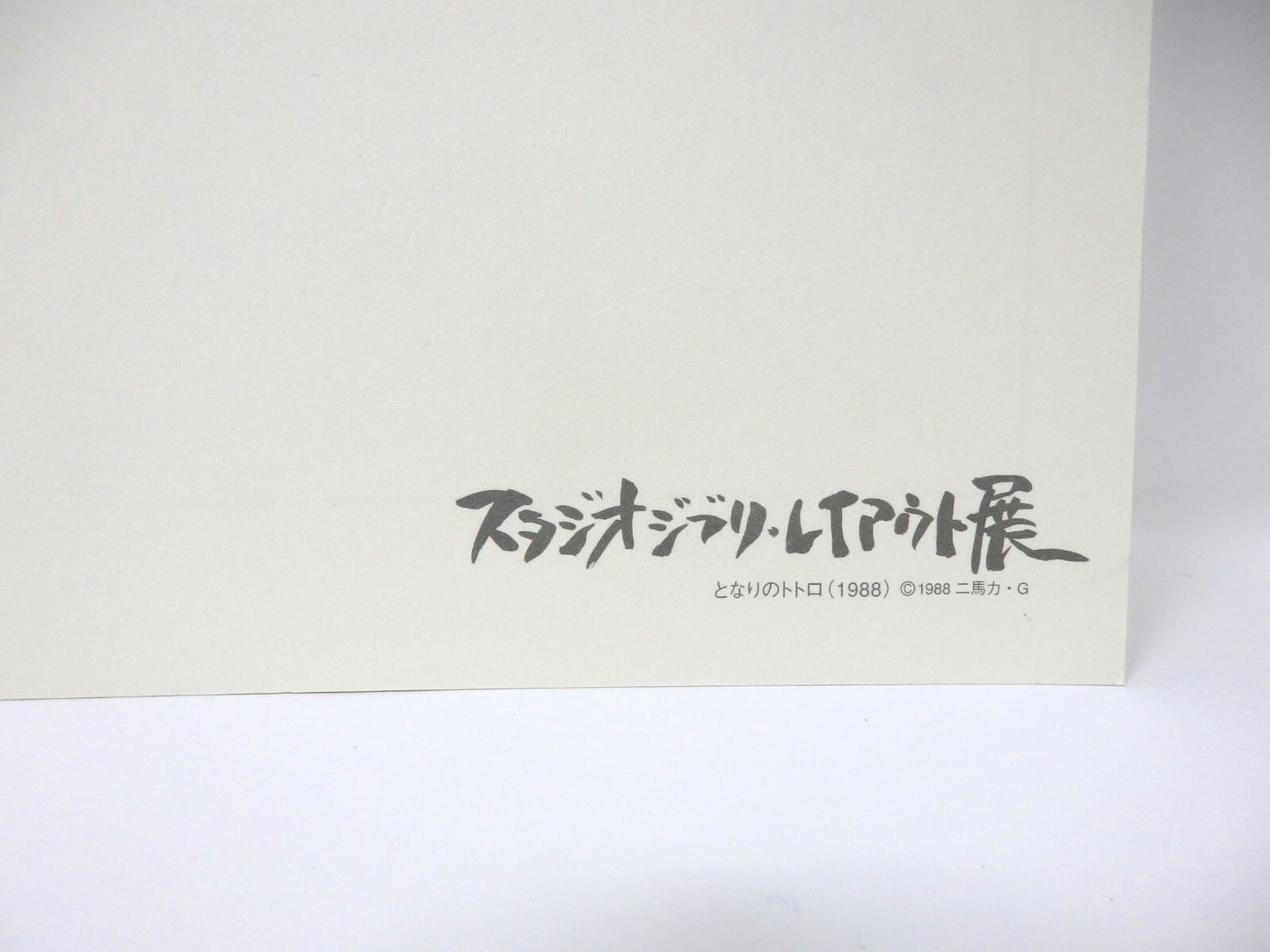 Studio Ghibli Totoro Replica Original Picture Art Cel Layout Limited Miyazaki
