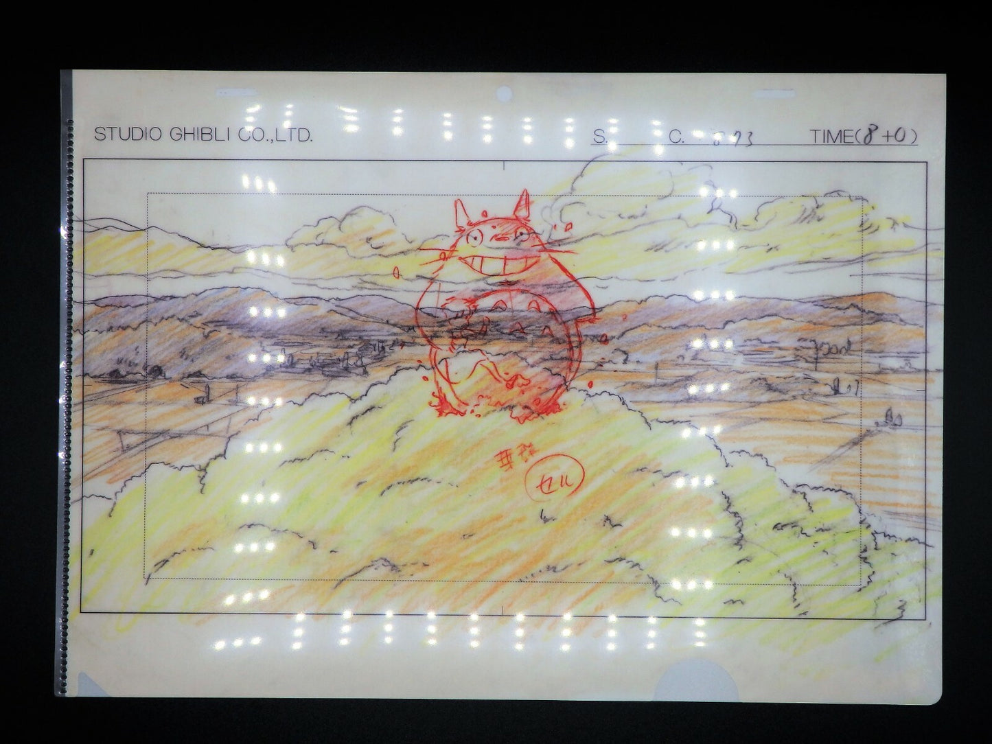 Studio Ghibli TOTORO Set of 2 Clear File A4 Art Cel Layout Exhibition Limited
