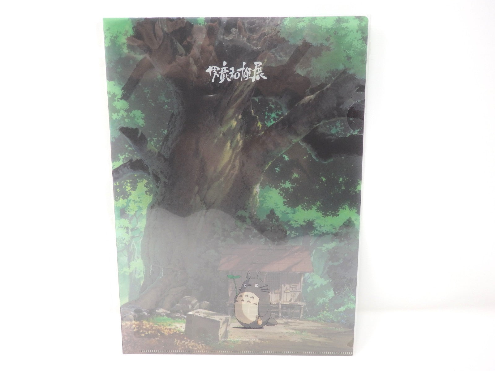 Studio Ghibli Clear File A4 Special Set of 3 LAPUTA Layout Cel Miyazaki Limited