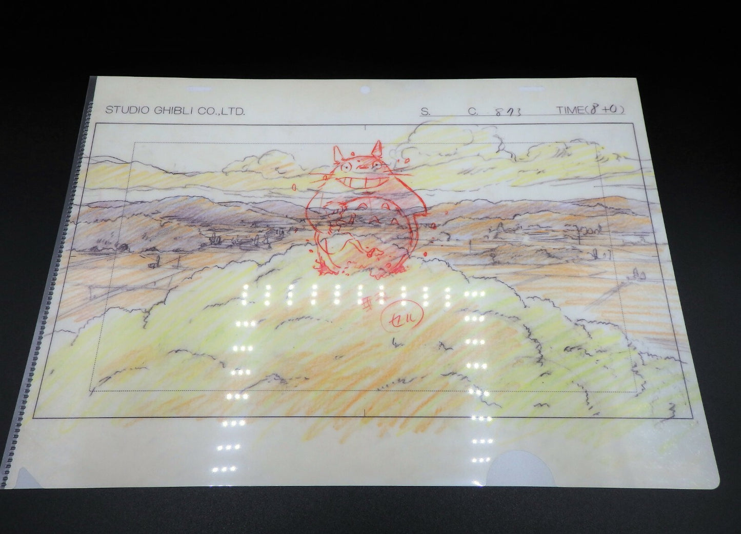 Studio Ghibli MY NEIGHBOR TOTORO Clear File A4 Art Cel Layout Exhibition Limited