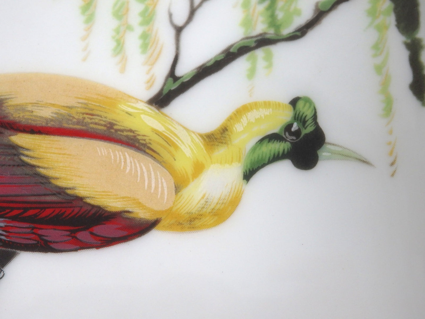HERMES Ashtray Porcelain Exotic Bird Motif Interior Tableware Plate Gift Boxed