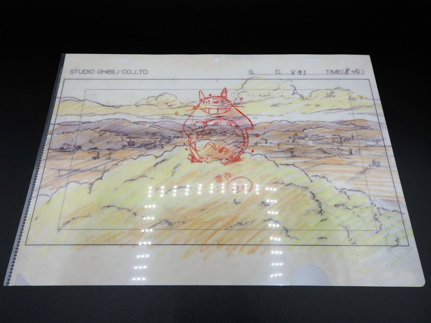 Studio Ghibli TOTORO Set of 2 Clear File A4 Art Cel Layout Exhibition Limited