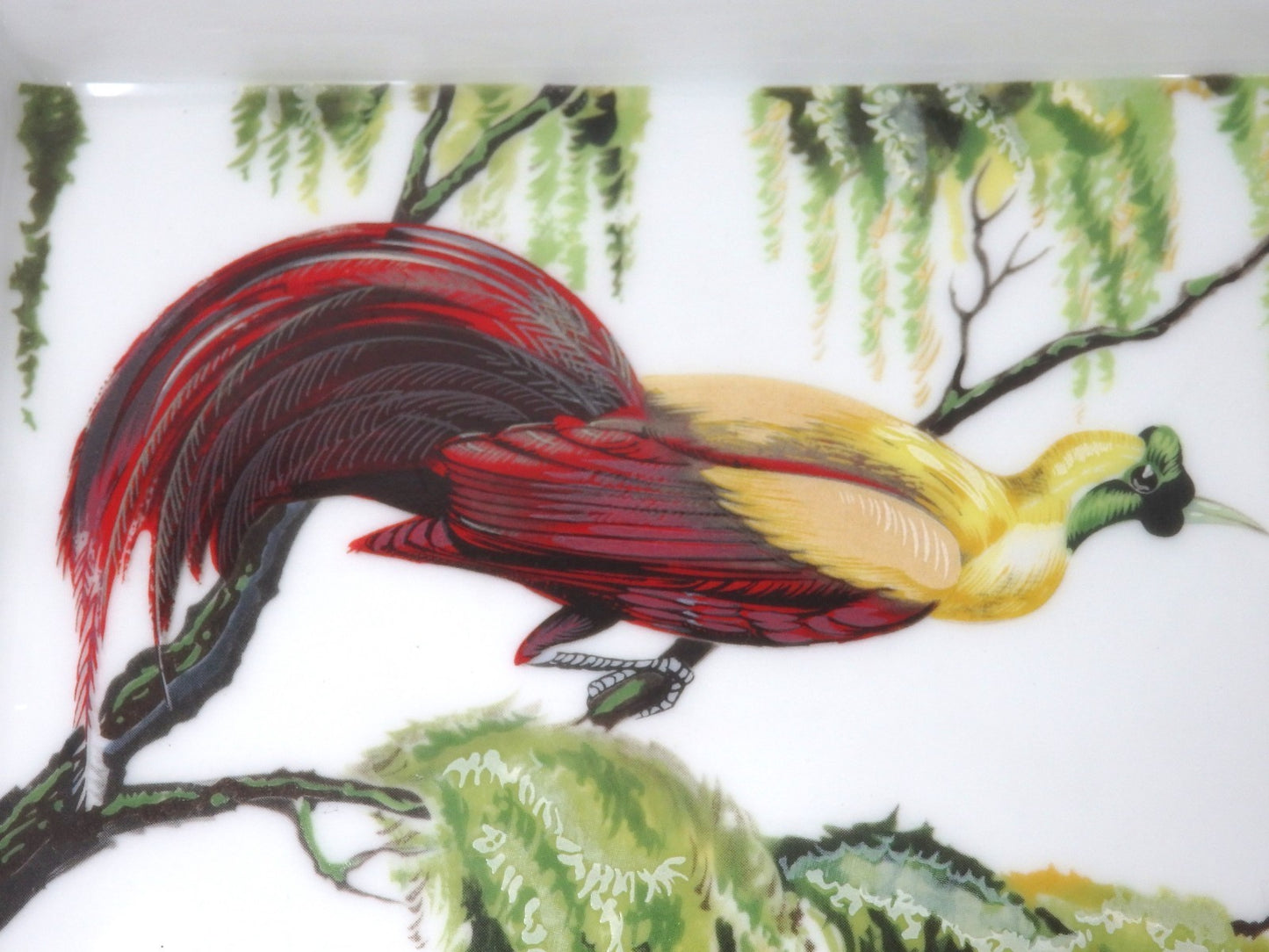 HERMES Ashtray Porcelain Exotic Bird Motif Interior Tableware Plate Gift Boxed