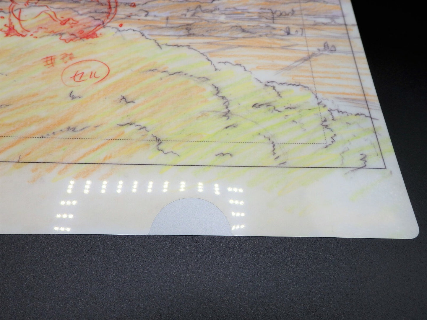 Studio Ghibli MY NEIGHBOR TOTORO Clear File A4 Art Cel Layout Exhibition Limited