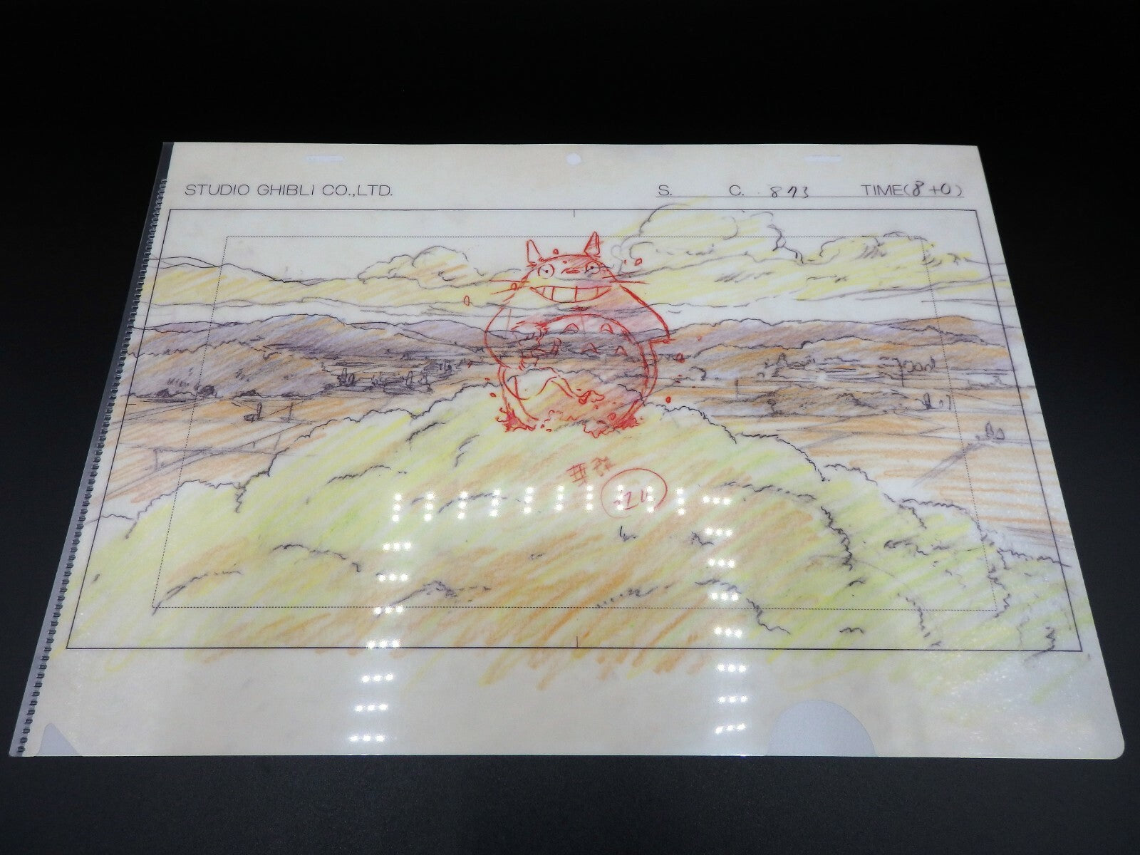 Studio Ghibli MY NEIGHBOR TOTORO Clear File A4 Art Cel Layout Exhibition Limited